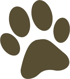 rezanje noktiju kućnim ljubimcima